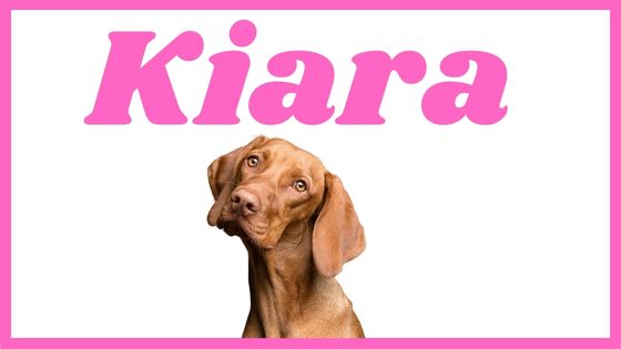 Significado del nombre Kiara para perro