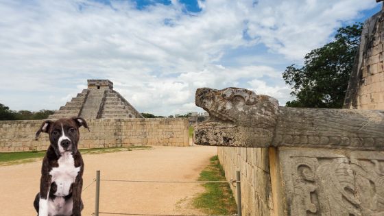 Nombres para perritas en Maya