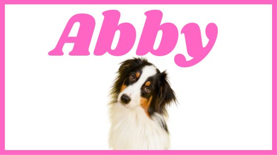 Significado del nombre Abby