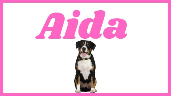 Significado del nombre Aida para perritas